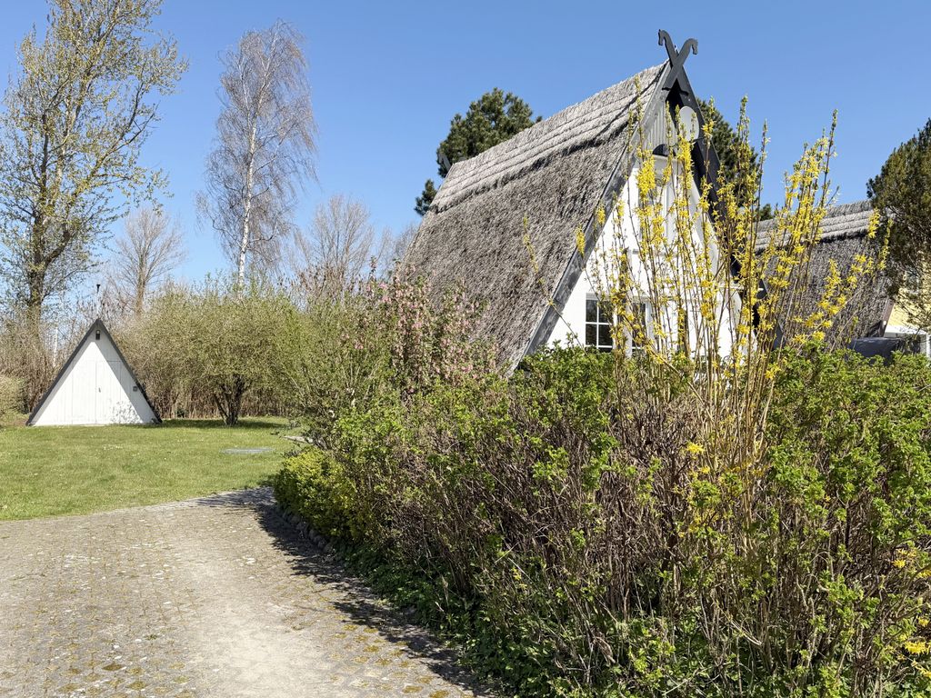 MR: Finnhaus Nr. 05 mit Terrasse detail 2