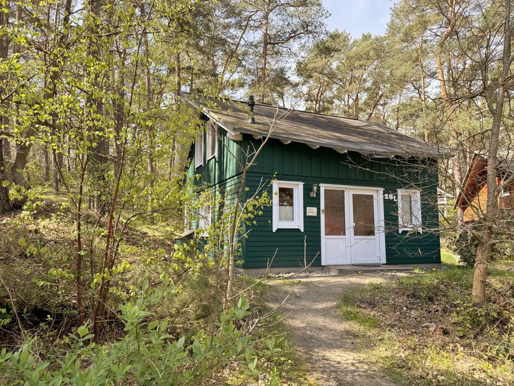 W: Strandhaus Dünenweg 28l mit Terrasse/Kamin/Thermium detail 4