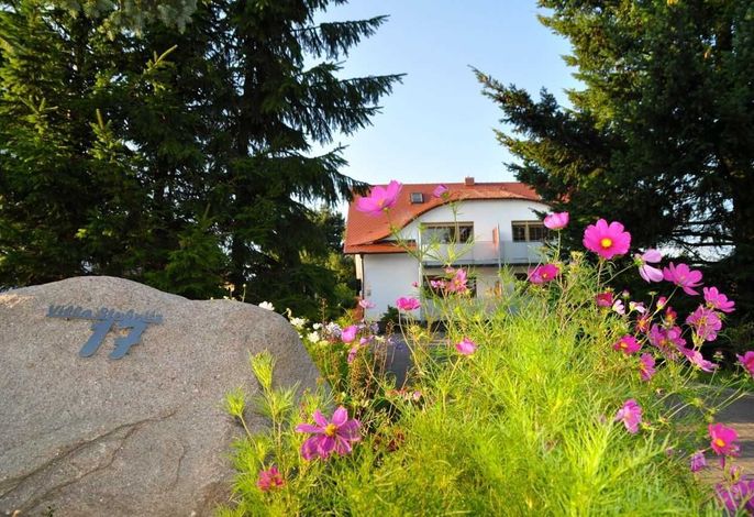 Villa Stubnitz