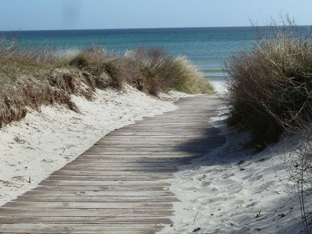 Blaubärstrand detail 3