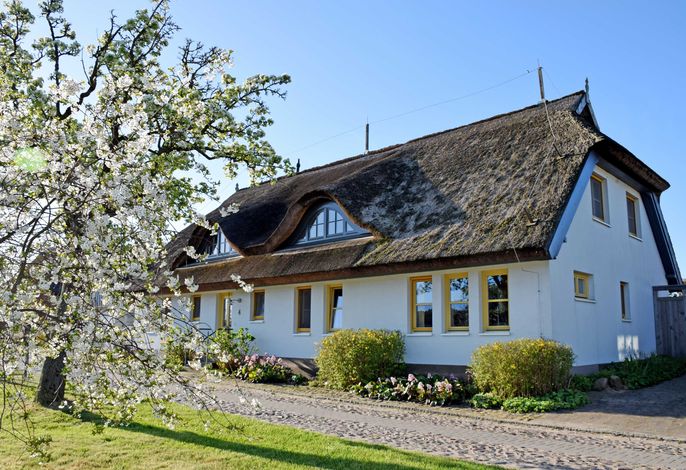 Ferienwohnungen im Fischerdorf und unterm Reetdach