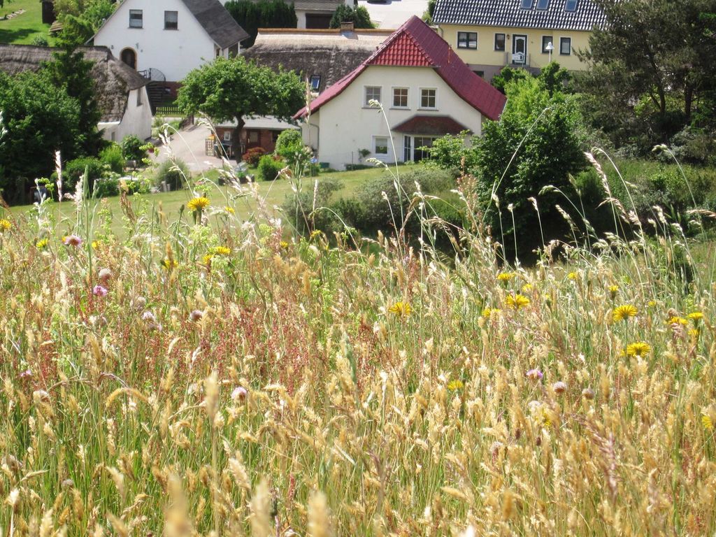 Sonnige FeWo in Klein Zicker - nur 2 min. zum Strand WE9643 detail 1