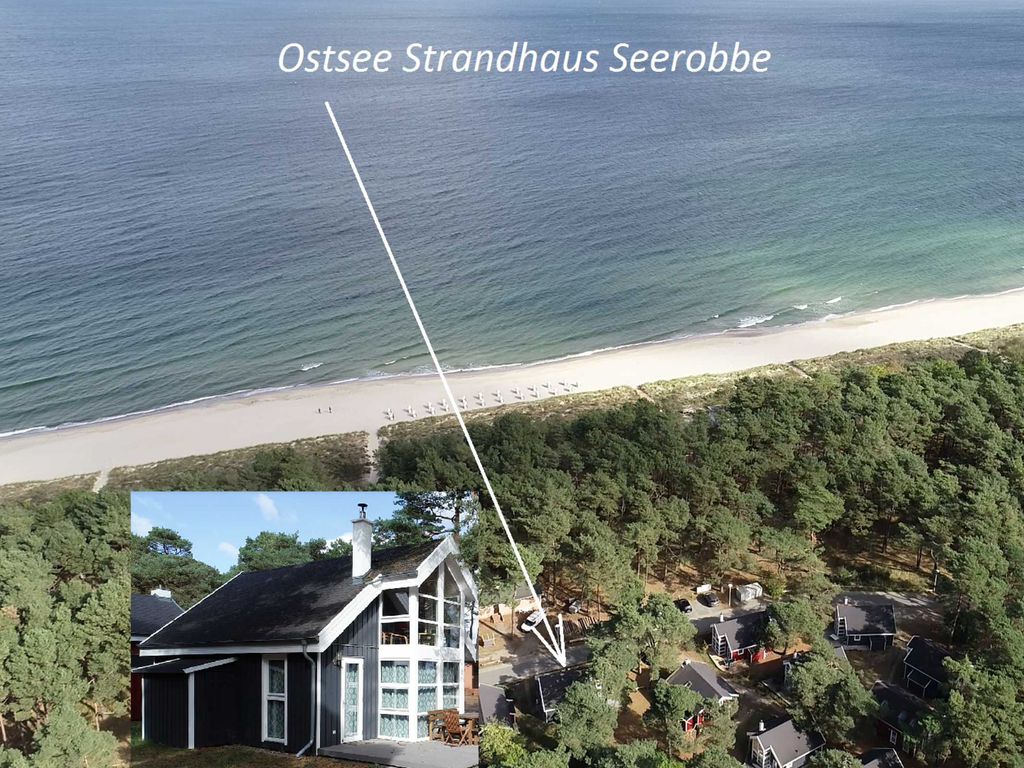 Ostsee Strandhaus Seerobbe detail 2