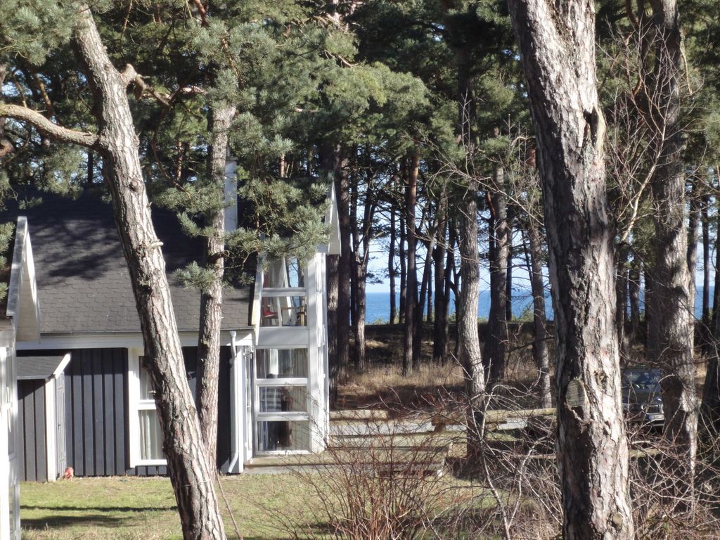 Ostsee Strandhaus Seerobbe detail 3