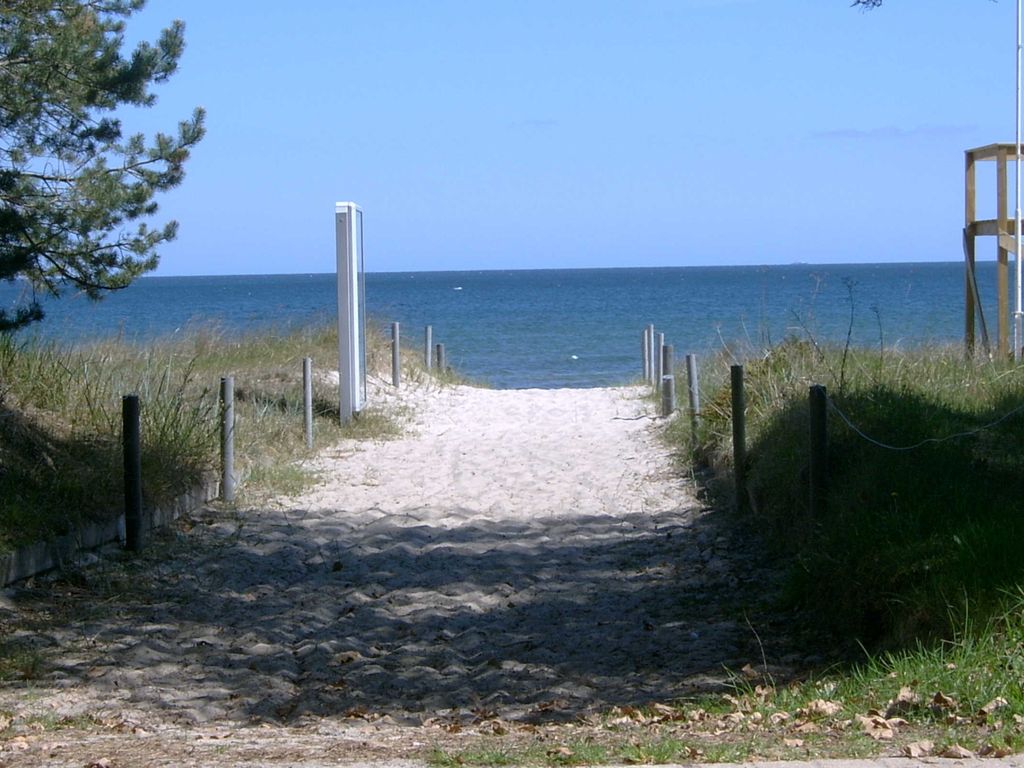 Ostsee Strandhaus Seerobbe detail 4